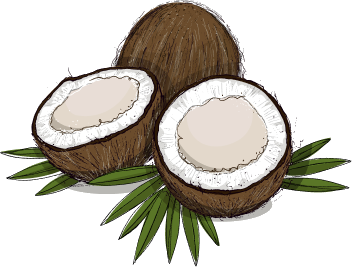 Coconut